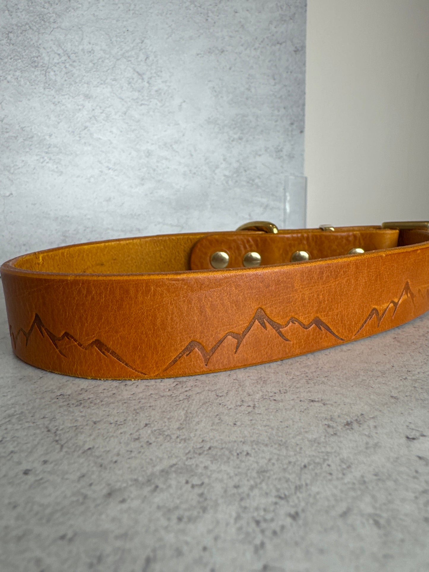 Nevis tan leather 1 inch 16-19