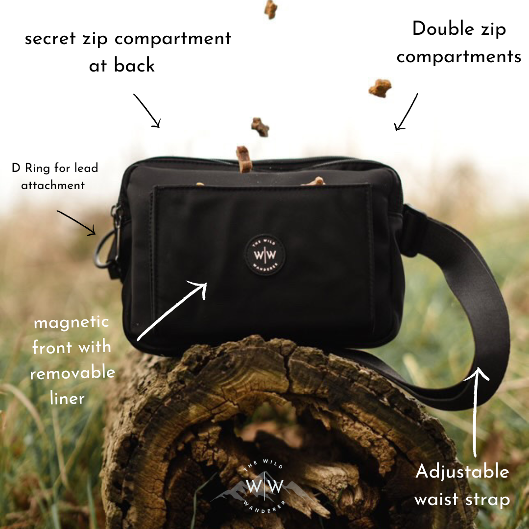 The Wanderers Bag