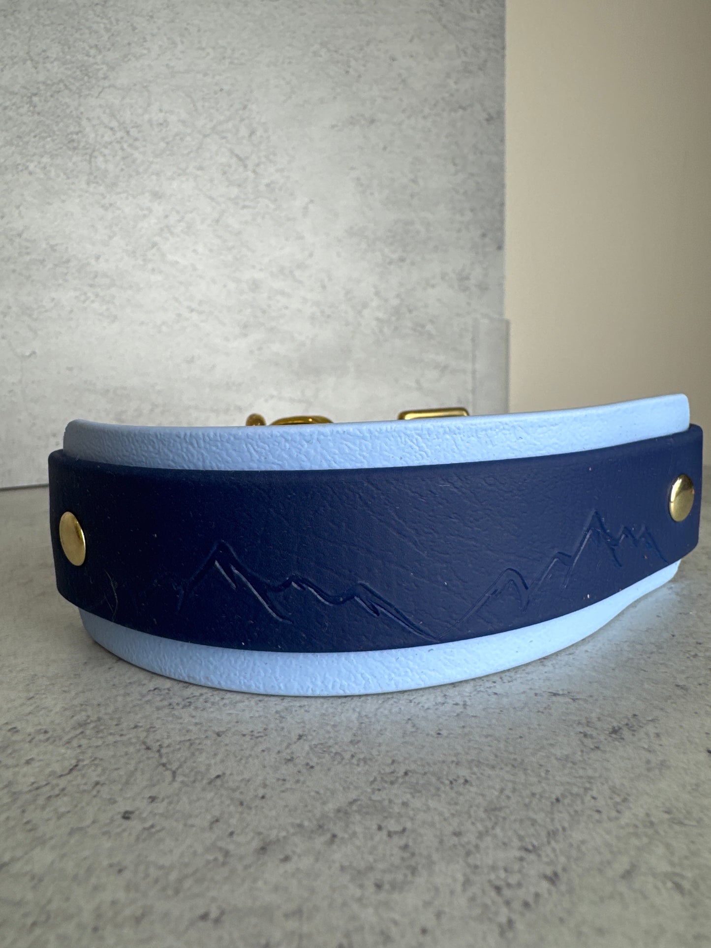 Hound collar 11-14