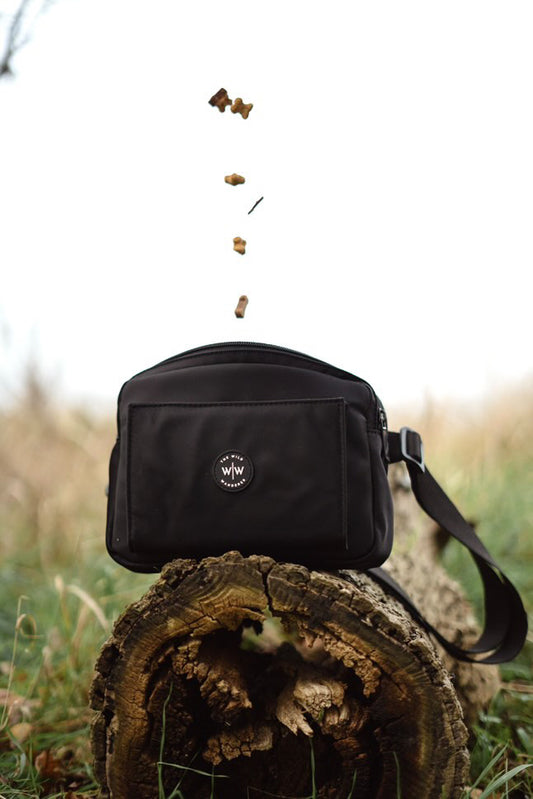 The Wanderers Bag
