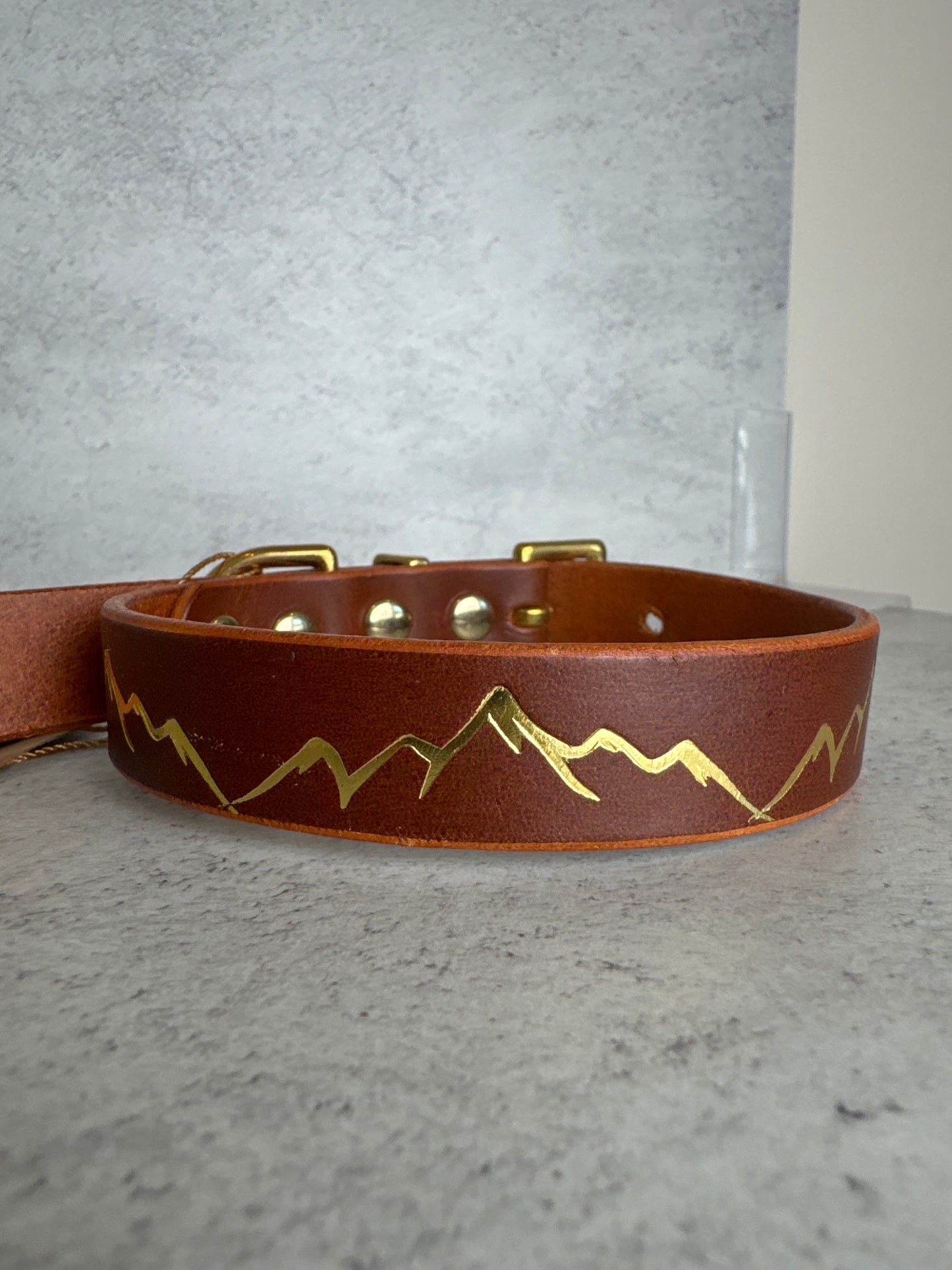Chestnut leather Nevis Foil 19mm 11-14