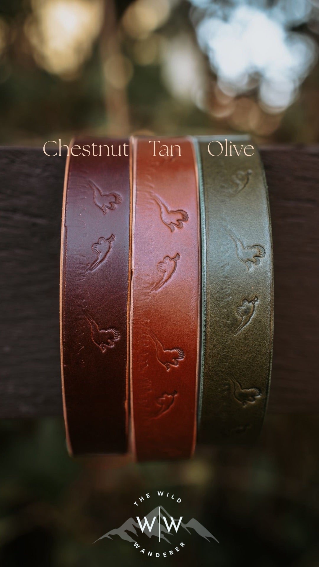 The Houndy Leather Collar