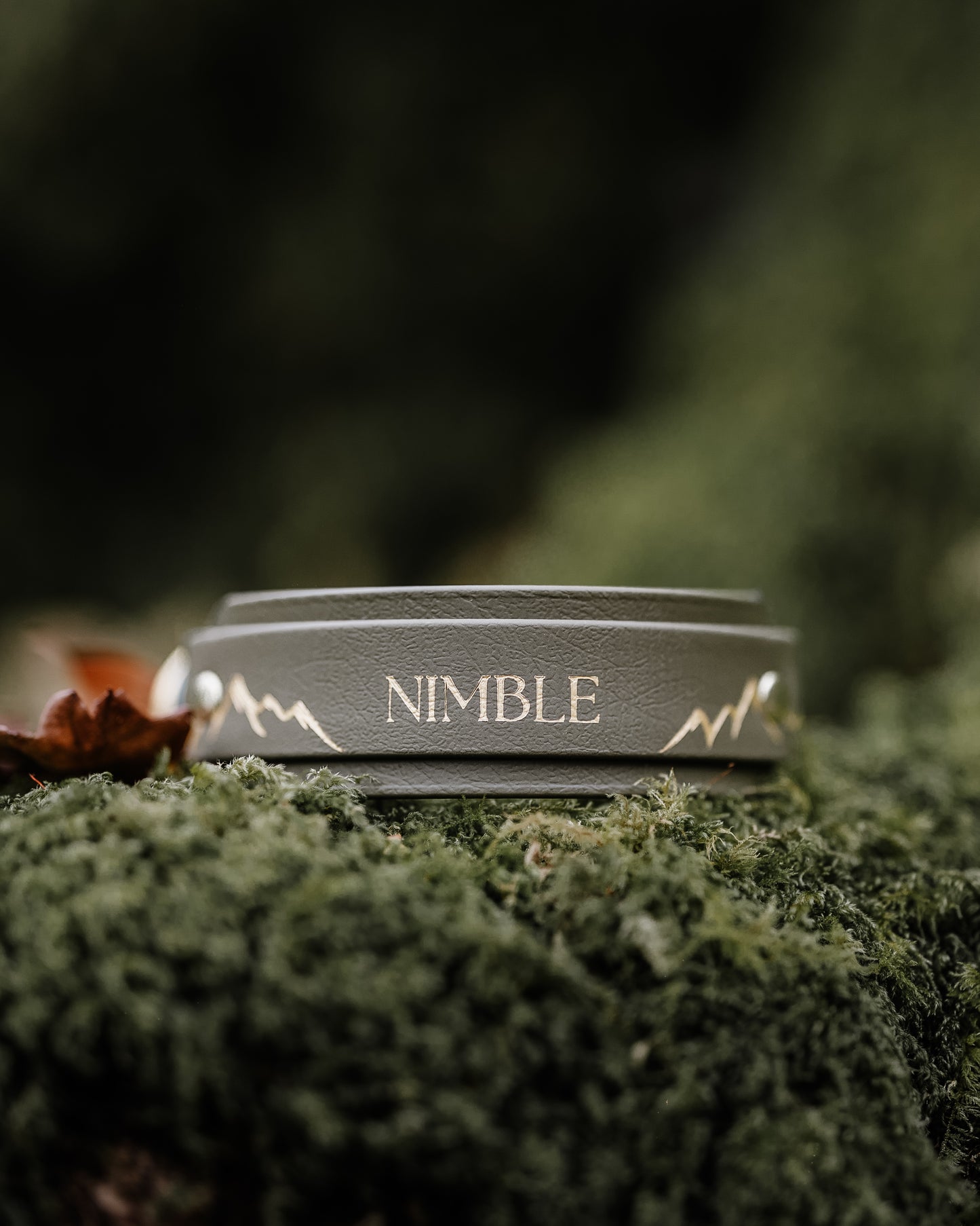 The Biothane Hound Collar