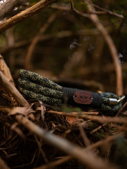Woven Fern