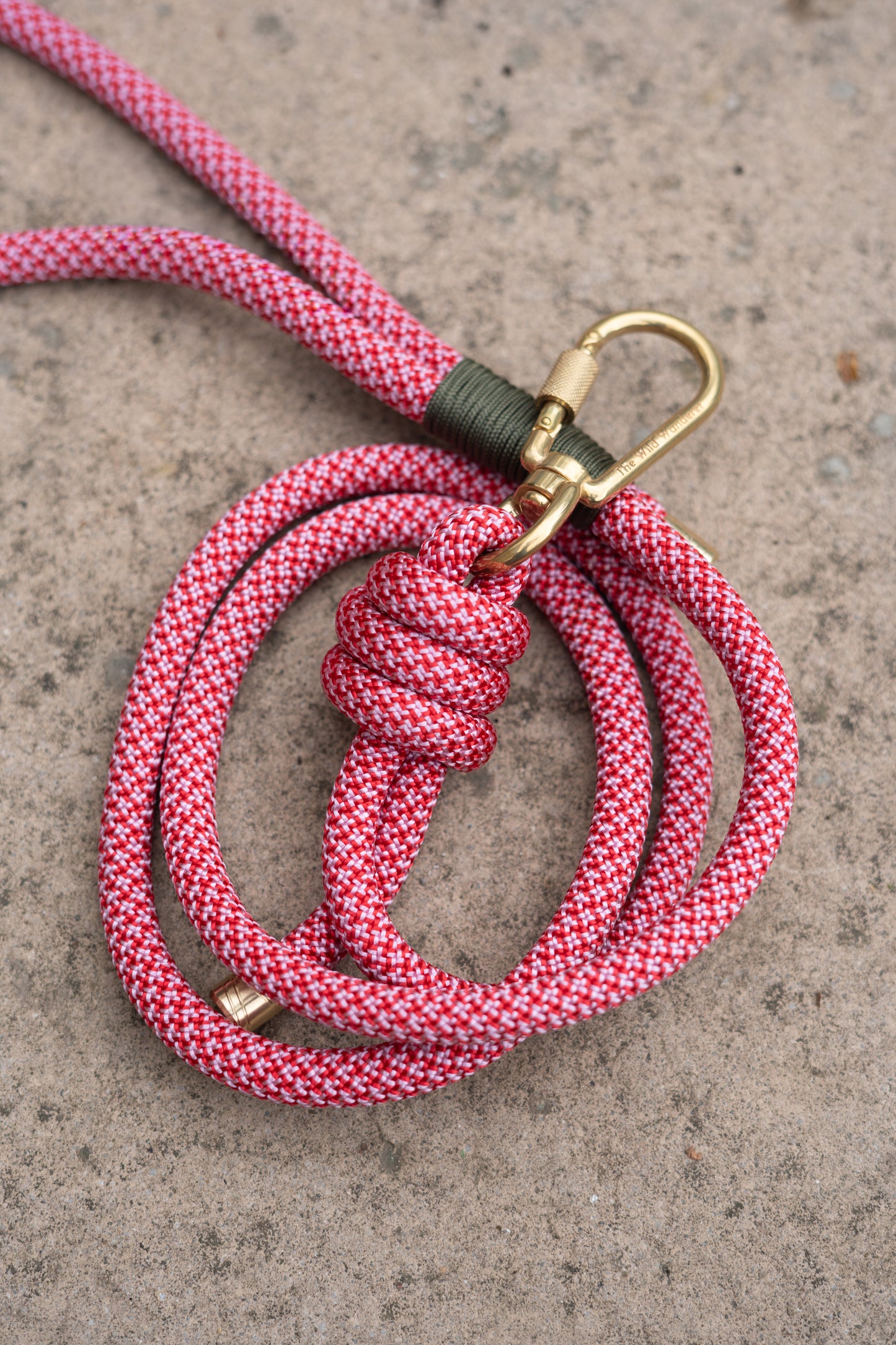 Anemone Lead