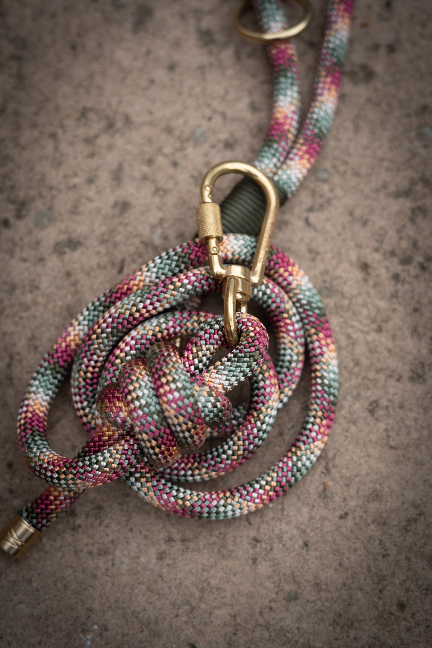 Sunset Reef Lead