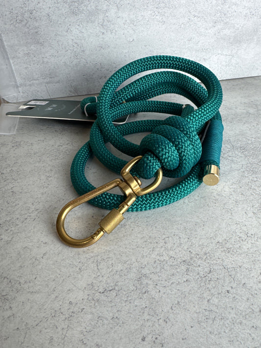 4ft teal clip lead
