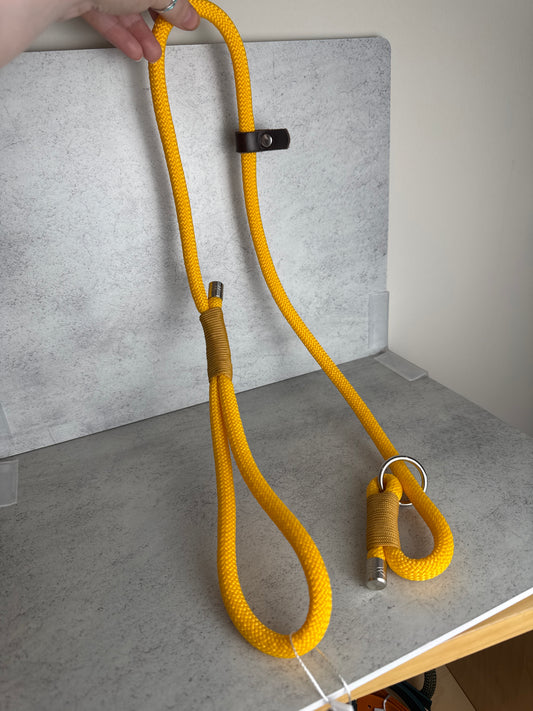 3.5ft 10mm slip lead
