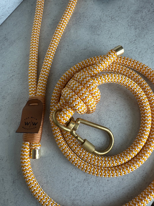 5ft solero lead