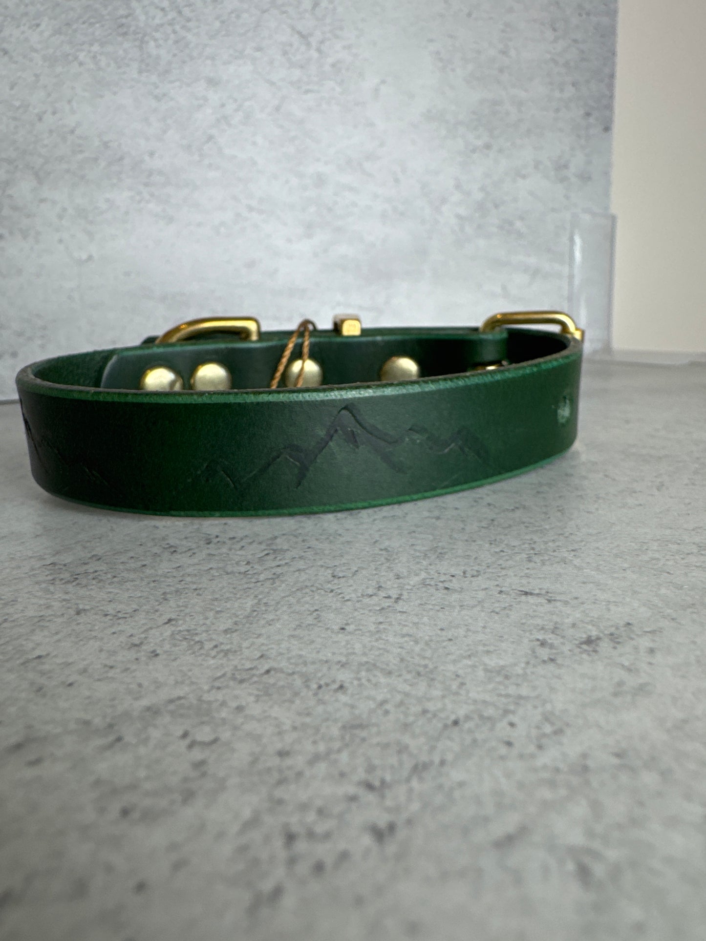 Green Leather 19mm 9-12 inch Nevis