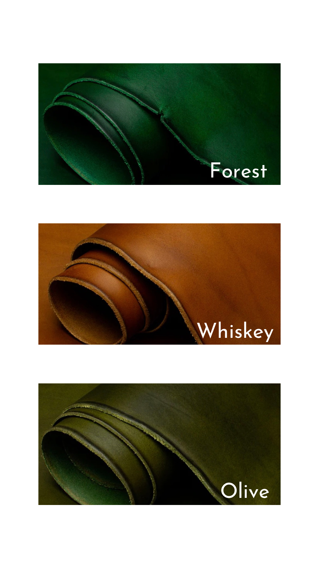 The Houndy  Leather Collar