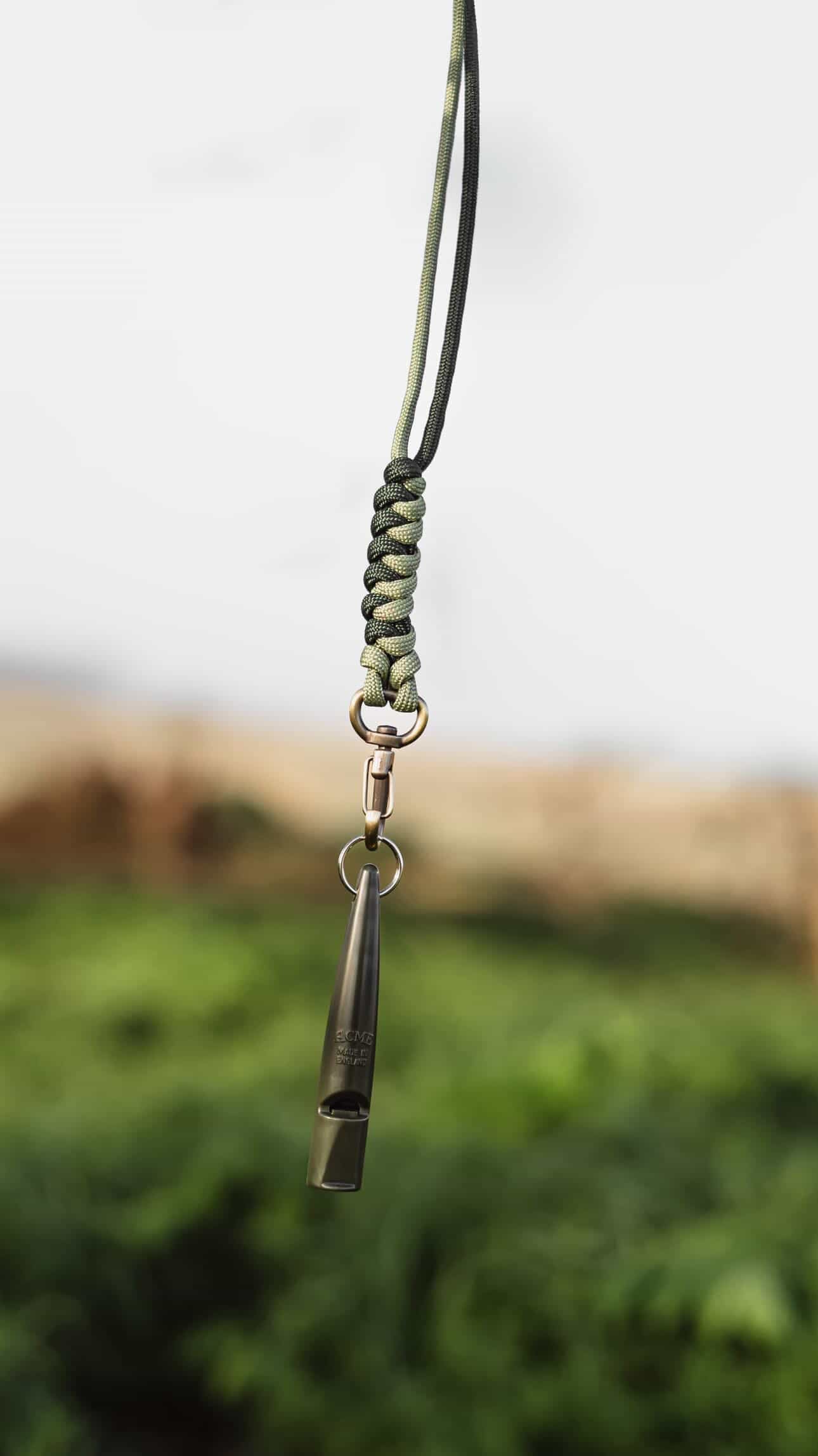Lanyard