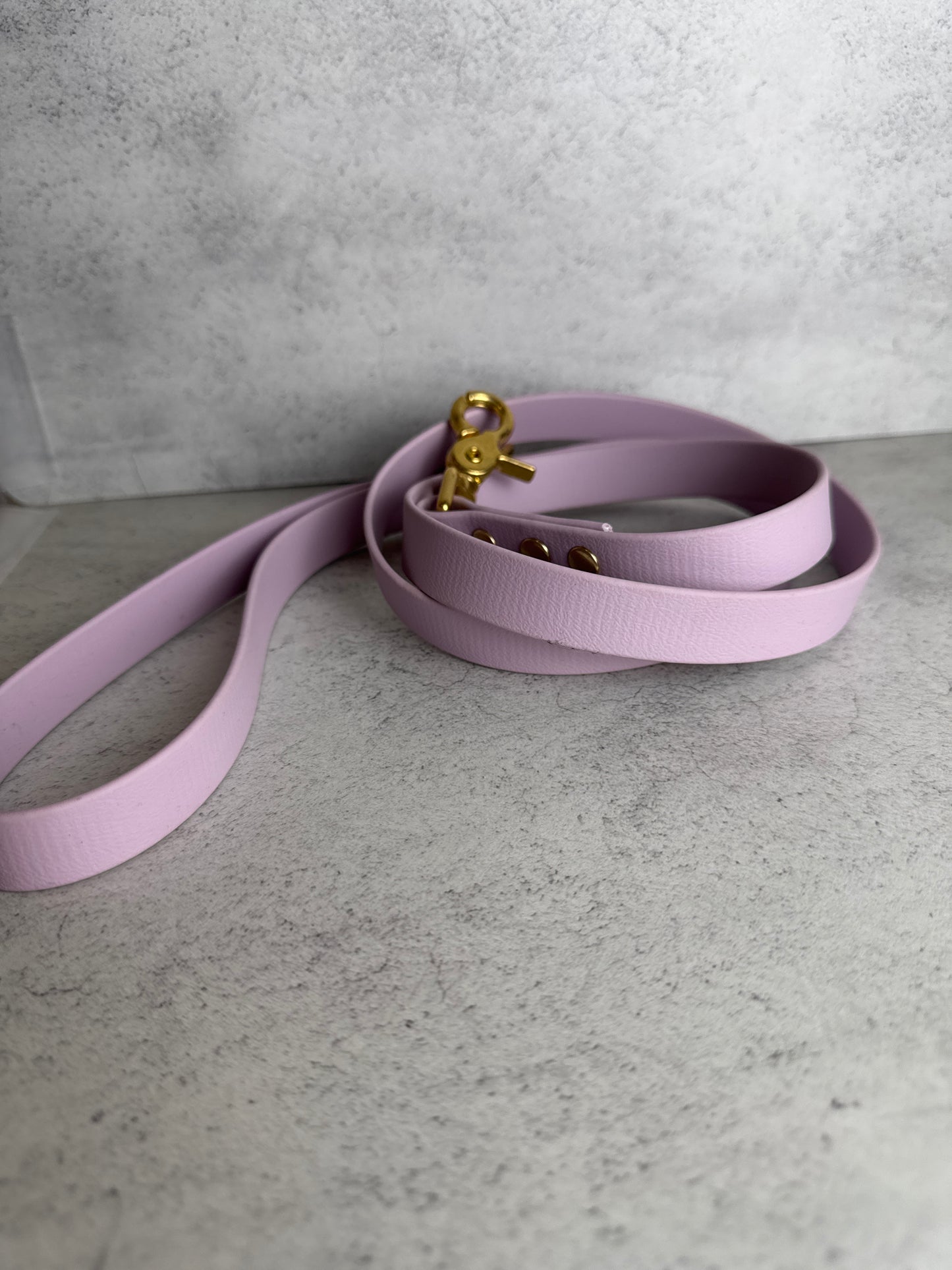 Wisteria 4ft bio lead
