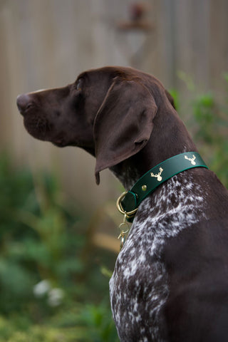 Forest Pines Embossed Collar