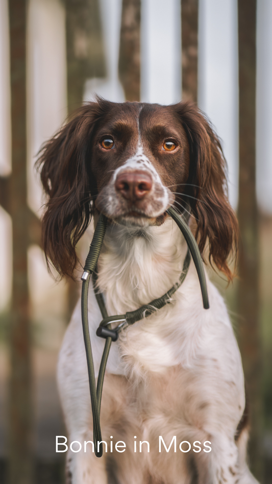 The Spaniel Slip Lead